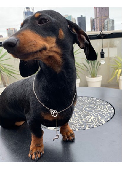 Dachshund adjustable necklace